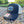 Goodspeed Flags Trucker Hat
